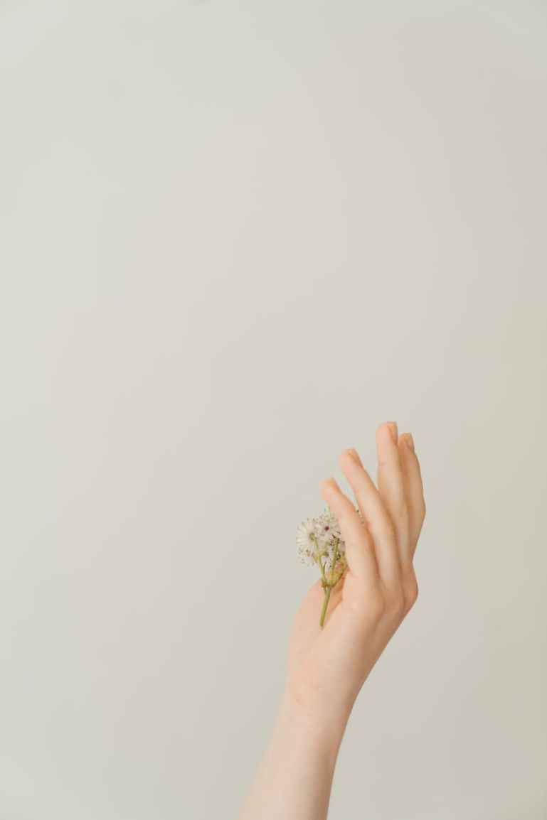 person holding white flower bouquet